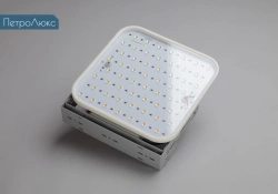 Petroleum Slim-04 LED Industrial Light