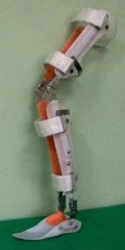 Orthopedic Device for Ankle and Knee Joints