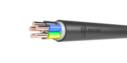 Fire-Resistant Power Cable with Polymer Insulation 660V PPGng(A)-NF 3x16