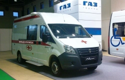 Transport Vehicle for People Transportation with Gasoline Engine, Type 224380, Model 22438M