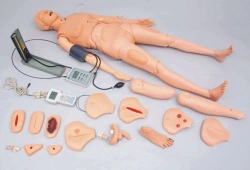 Multifunctional Patient Care Mannequin 2400