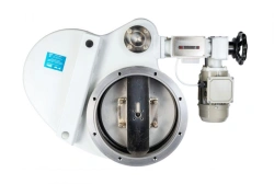 Electromechanical Vacuum Gate Valve 2ЗВЭ-250Р with Reducer