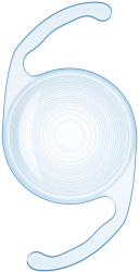 Bifocal Hydrophobic Intraocular Lens MIOL-ACCORD