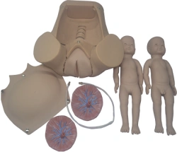 Fetal Progression Simulator, Model 5A