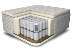 Premium Cleopatra Anatomical Mattress
