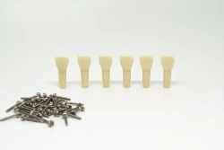 Children's Dental Model Tooth Set, 24 pcs PD-NZ DM 24