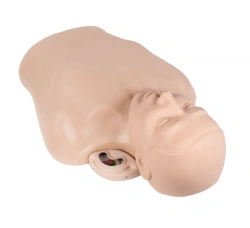 Resuscitation Phantom Torso with ZIK-22 Controller