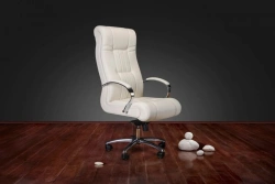 Dali Low Back Chair DB-700M/Chrome