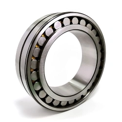 Radial Roller Bearings with Long Cylindrical Rollers - General Industrial Use