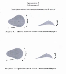 Silicone Gel Breast Prosthesis for Mastectomy - Model SPMZ-A, SPMZ-C, Sizes 00-11