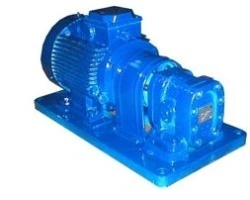 Low-Pressure Gear Pump for Technical Oils, BG11-25A