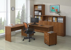 Eco Wooden Office Shelves - Collection "ECO