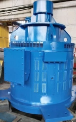 Vertical Asynchronous Motor DВAN 118-315/6-10 KU3