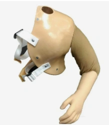 Functional-Cosmetic Prosthesis for Above-Elbow Amputation