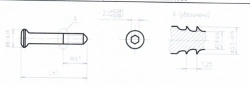 Steel Compression Screw 3.5mm 38mm