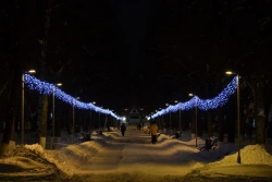 Decorative Light Garland "Sphere