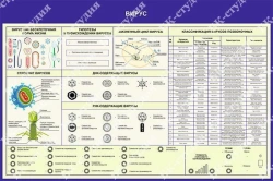 Electrified Display Stand for Visual Presentations