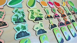 Harvest Growth Educational Game