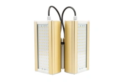 LED Light Module GOLD, Console KM2-2, 3000K, 64W