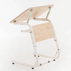 Accessible Table for People with Disabilities