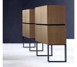 Office and Educational Personnel Cabinet by Home Evolution
