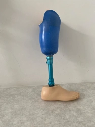 Modular Therapeutic-Training Lower Leg Prosthesis PN3-87LT