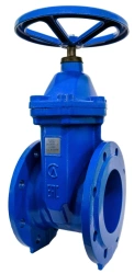 Rubber-Seated Cast Iron Gate Valve 30ч39р SLG11