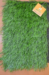 Optigrass 40 TR Artificial Grass Covering