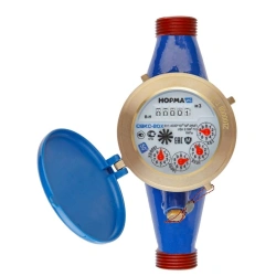Cold Water Flow Meter Norm SВКС-20Х