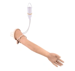Adult Injectable Practice Arm Model, NS6062