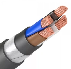 Power Cables 0.66 kV, 1 kV with Copper Conductors: VBSHv ng(A)