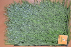 Artificial Grass Covering Optigrass LSR 60 MF