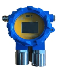 Stationary Gas Analyzer GANK-T2