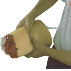 Life-size Lower Limb Model with Amputation Trauma H3008/FA6840