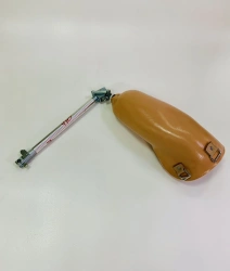 Functional Shoulder Prosthesis PR4-T