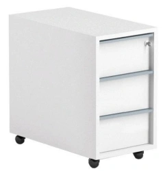 Office Mobile Cabinet with Quiet Closing Mechanism (TU 31.01.12-001-24830516-2021)