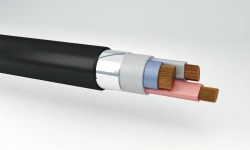 Power Cables with Copper Conductors and Plastic Insulation up to 1kV - PvBShp