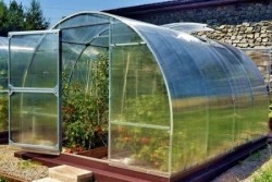 Etalon Greenhouse with Reinforced Frame 30x20 mm