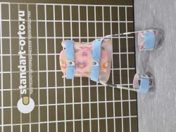 External Fixation Device for Hip Joint - Model T-100