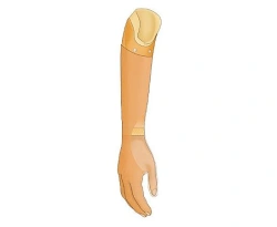 Cosmetic Forearm Prosthesis PR2-K-OK