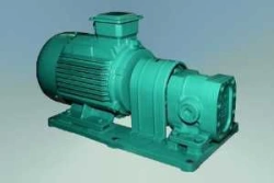 Low-Pressure Gear Pump for Technical Oils - BГ11-23А