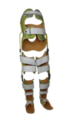 Lower Limbs and Torso Orthotic Device for Rehabilitation