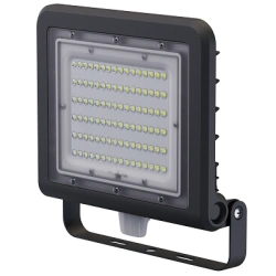 LED Flood Light