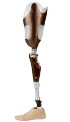 Modular Microprocessor-Controlled Hip Prosthesis PN6-77MU