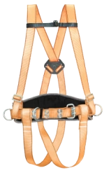 Construction Safety Harness PP D