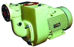 Self-Priming Centrifugal Electric Pumps CVs 10/65