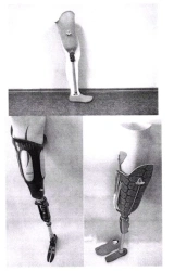 Modular Hip Prosthesis PN6-M