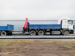 Digital Surface Truck Scales ASP-60-12-1-P Kelli & Zemic