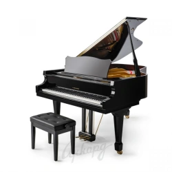 Nikolai Rubinstein Grand Piano - Enriching Music Education