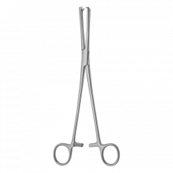 Straight Two-Pronged Uterine Forceps 240mm TSH-04-051-24